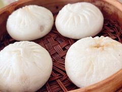 -扬州大运河文化旅游度假区·盆景园