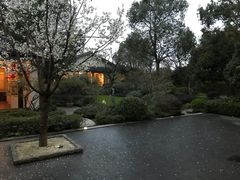-太极禅苑