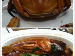 阳澄湖大闸蟹、河豚-常州武进九洲喜来登酒店