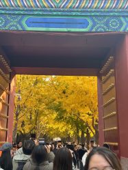 -梵茜儿·头道汤养生馆