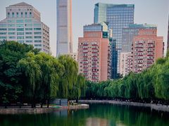 -团结湖公园