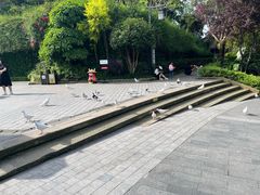 -磁器口古镇