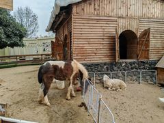 -HERRE·FARM 赫尔露营农场·团建聚会包场