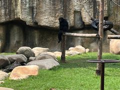 -上海野生动物园