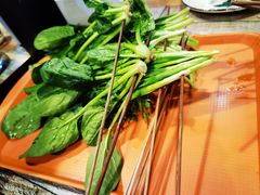 -小郡肝串串香火锅(金桥店)