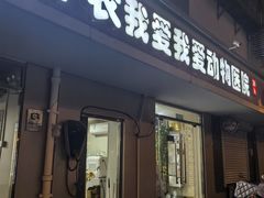 -中农大我爱我爱24h动物医院·中医针灸·猫专科·骨科医疗中心(双井店)