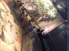 -北京周口店北京人遗址博物馆