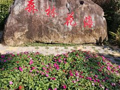 -广州市流溪河国家森林公园