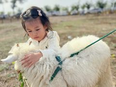 -敕勒川草原文化旅游区