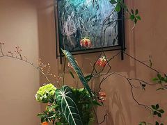 -宫七SPA·高端Massage(浦东大道店)