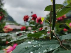 -夏威夷火山国家公园