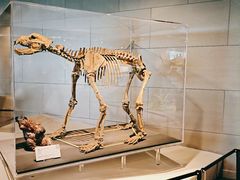 -北京周口店北京人遗址博物馆