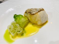 低温马头鱼-北京古城老院厉晓麟精致菜