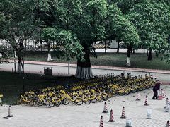 -广东工业大学(大学城校区)