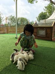 -萌宠亲子动物乐园(槐房万达店)