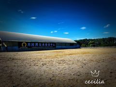 -月河湾马术俱乐部(朝阳店)