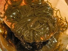 -镹·鱼料理  国产鱼使用店