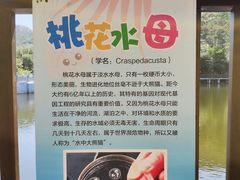 -沂蒙山旅游区云蒙景区(蒙山国家森林公园)