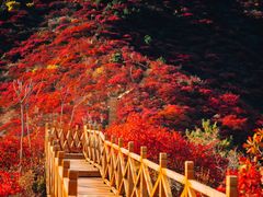 -水峪民俗村