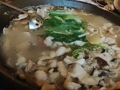 -都江堰石锅鱼
