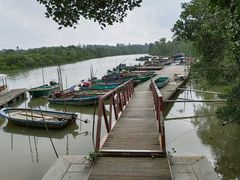 -东寨港红树林旅游区