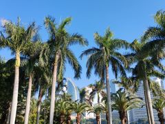 -白鹭洲公园
