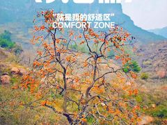 -李东农庄·当地安吉味(中南百草园店)