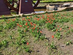 -长春公园(普阳街道)