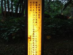 -大雁塔北广场音乐喷泉