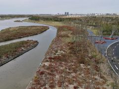 -春花秋色城市公园