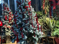 -Primo·丽莫意大利窑烤披萨