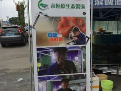 -蚝专家