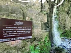 -鹿院坪生态旅游景区