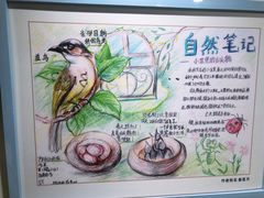 -上海昆虫博物馆