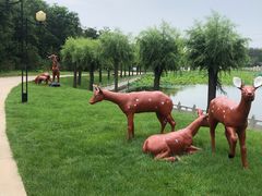 -南戴河国际娱乐中心