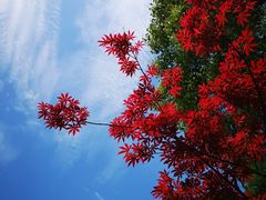 -上海市浦东新区恒宇幼儿园(杨南部)