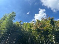 -莫干山风景区