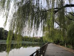 -月湖风景区