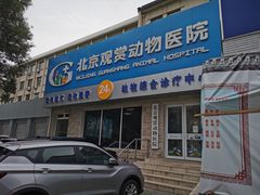 -北京观赏动物医院·24小时大型综合·猫专科·异宠专科