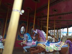 -锦江乐园舞狸花花游园会(夜场专享)