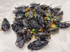 -轩记海鲜餐厅·四十五年老字号·经典粤菜(西区彩虹店)