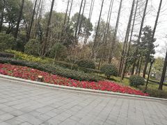 -徐家汇源景区-衡山公园