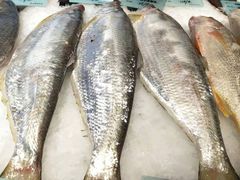 -南山饭店(阳明古镇店)