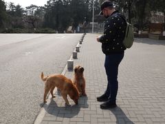 -北京鹫峰国家森林公园
