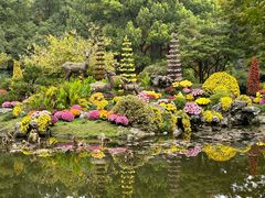 -杭州植物园