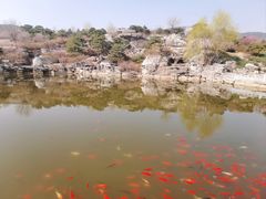 -北京西山国家森林公园