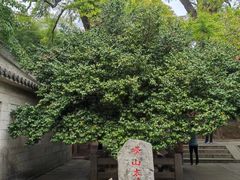 -青岛崂山太清宫