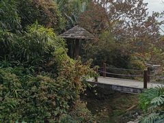 -罗浮山嘉宝田森林温泉度假酒店