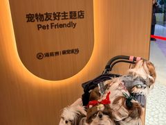 -海底捞火锅(凤凰广场店)