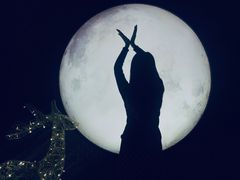 -STARRY CAFE & LOUNGE BAR(高新店)